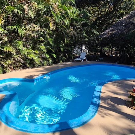 Villasjungle 1 ซามารา ภายนอก รูปภาพ